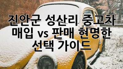 진안군 성산리 중고차 매입 vs 판매: 현명한 선택 가이드