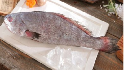 엄선된 재료의 깊은 맛! 🤫 특별 할인 중인 민어맑은탕 후기