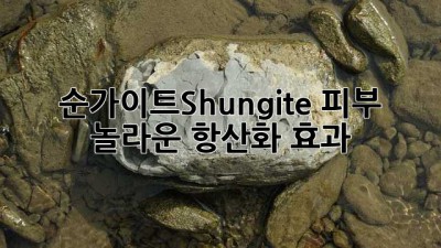 순가이트(Shungite) 피부: 놀라운 항산화 효과